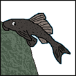 ijumu ijumu