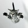 asuwoly