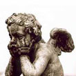 olerycerun