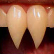 edeltrauda177