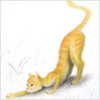 izabellakopyto