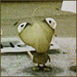 otiqyruk