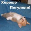 yryvure